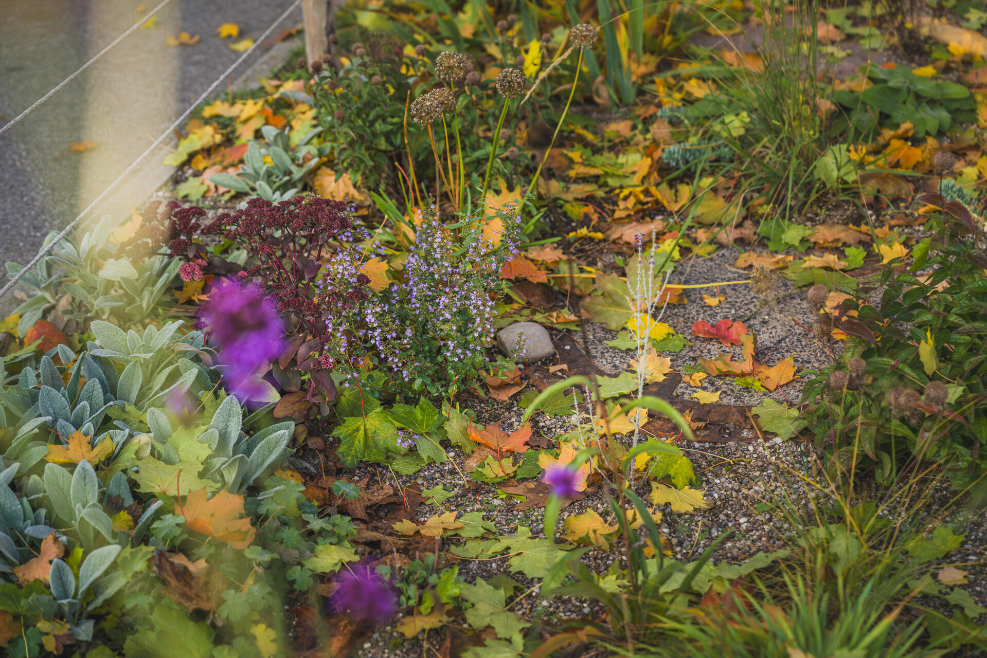 Resiliente Freiraumkonzepte